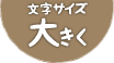 文字サイズ大きく