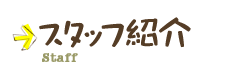 スタッフ紹介